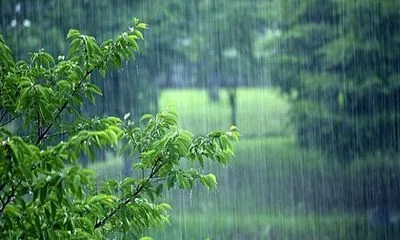 افزایش 53.8 درصدی بارشها در کشور/ رشد بارندگیها در 21 استان