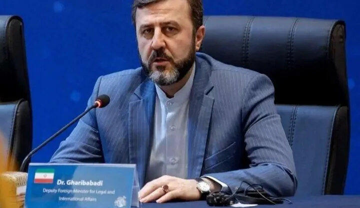 غریبآبادی: کاهش سطح آب، مهمترین معضل زیستمحیطی دریای خزر است