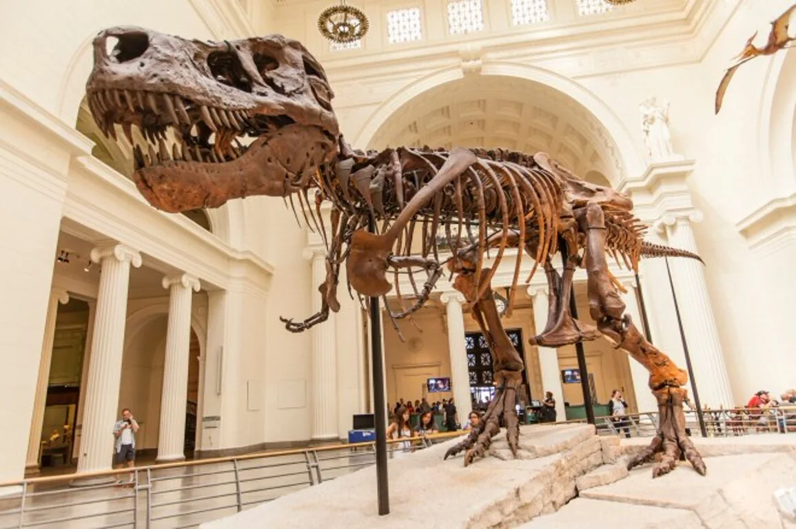 Tyrannosaurus rex skeleton on display in a grand museum hall with visitors nearby