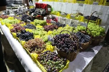 جشنواره انگور ارومیه در تقویم رویدادهای گردشگری ایران ثبت شد