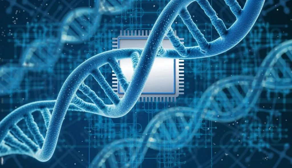 DNA