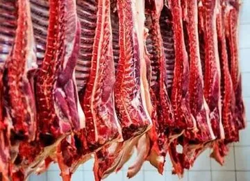 واکنش کاربران به ماجرای عرضه گوشت الاغ و اسب / نظارت را جدی بگیرید