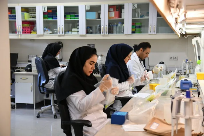 پایش سالانه بیش از یک میلیون آزمون‌های سلامت سنجی روی بذر سیب زمینی کشور