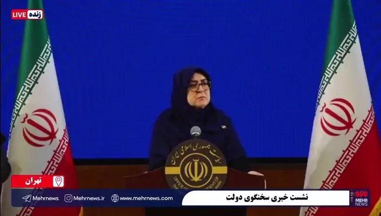 سخنگوی دولت: واردات خودرو فعلاً متوقف شد