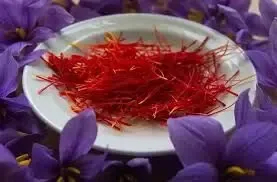 احیای زمین با زعفران