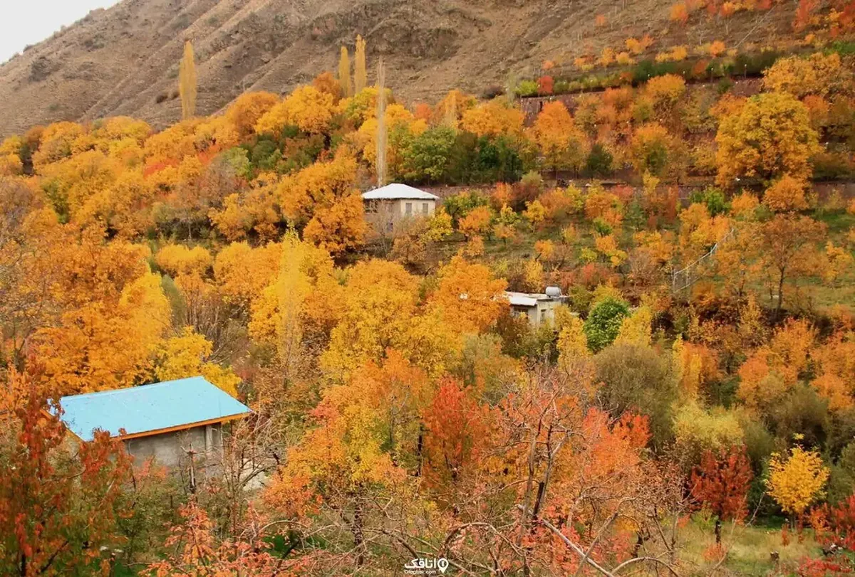 پاییز را همین نزدیکی پیدا کنید/ ۵ مقصد برای سفر یک‌روزه پاییزی اطراف تهران
