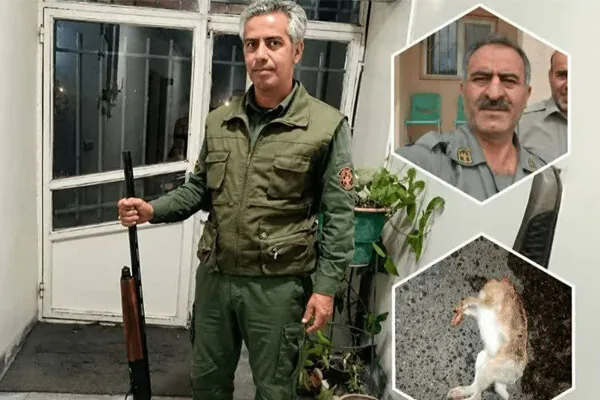 دستگیری باند ۵ نفره شکارچیان غیرمجاز در منطقه حفاظتشده سهند