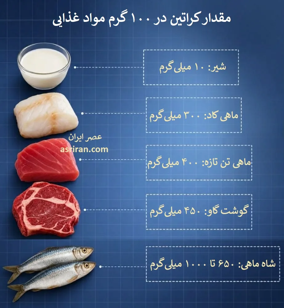 اینفوگرافیک مقدار کراتین در 100 گرم شیر، ماهی و گوشت