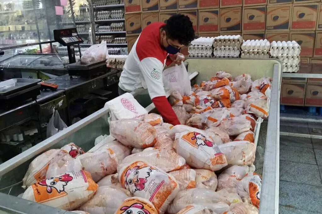 قیمت مرغ امروز سهشنبه ۵ آبان ۱۴۰۵