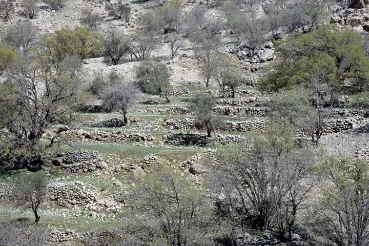 «رویین»، روستایی متروک و فراموش‌شده در جنگل دشت‌برم شهرستان کازرون