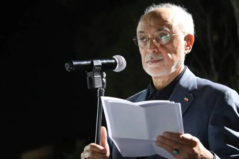 صالحی: گاه یک گفتوگوی صریح و انتقال دقیق پیام میتواند مانع تنش در روابط دیپلماتیک شود