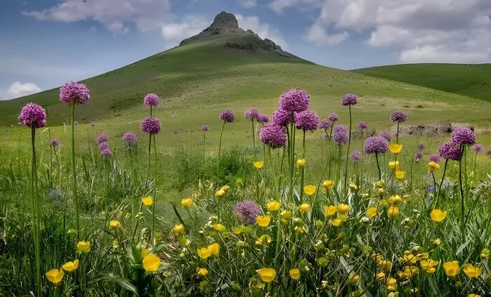 اخبار کوتاه از غرب اصفهان
