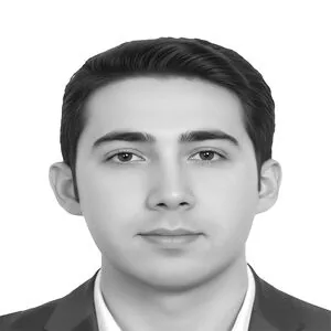 حمایت بدون تشدید تورم