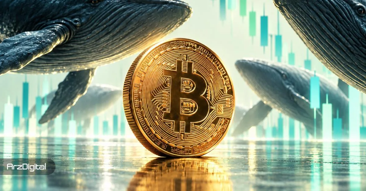 ظهور دو سیگنال متضاد در بیت کوین که میتوانند سرنوشت قیمت را تغییر دهند