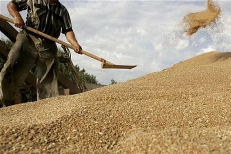 تجارت کشاورزی اوراسیا به 18 میلیارد دلار رسید