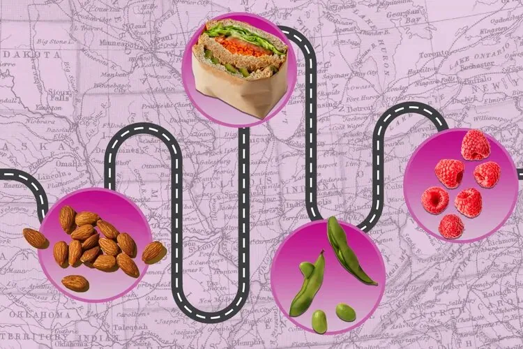 قبل از سفر این خوراکیها را در کیفتان بگذارید؛ راز پیشگیری از یبوست در جاده و هواپیما