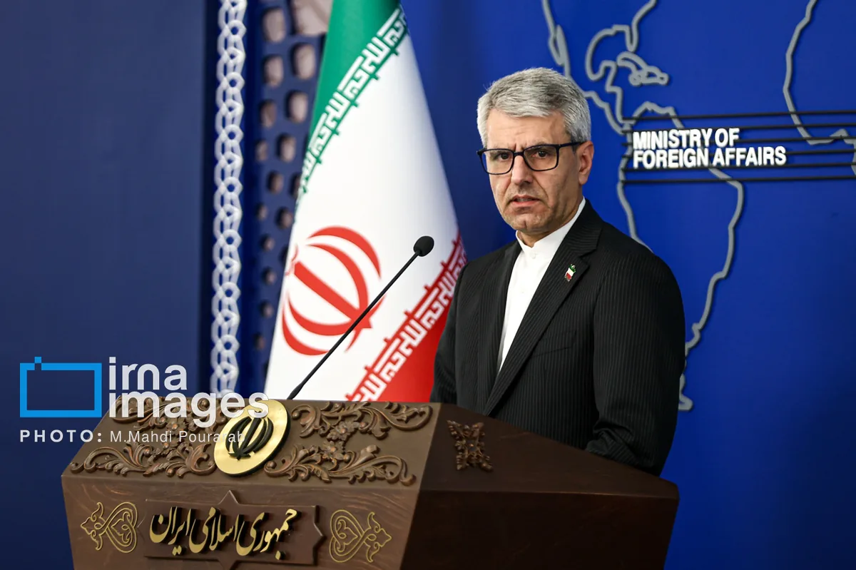 بقائی: تشکیلات گزارشگر حقوق بشر آگاهانه جنایات آمریکا را تطهیر میکند