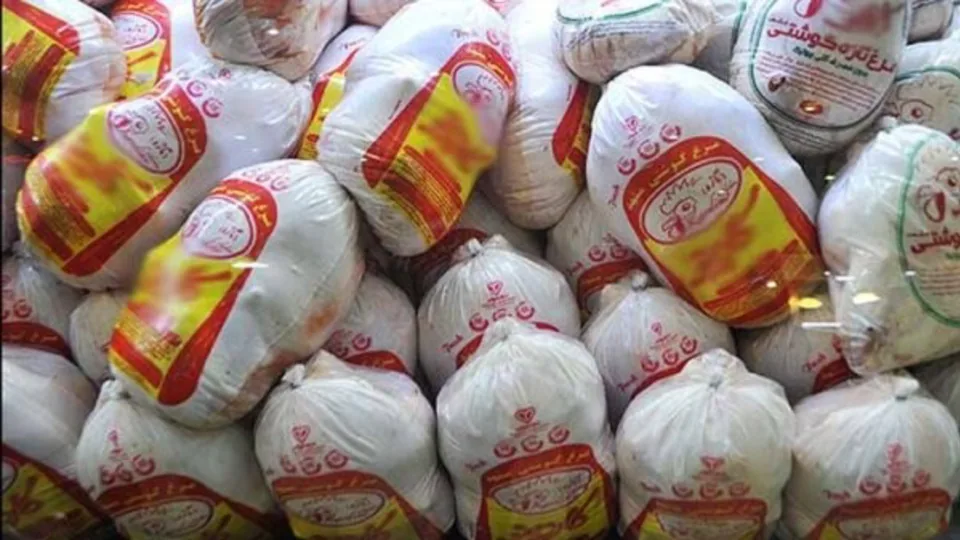 اتفاق عجیب در جنوب تهران/ احتکار میلیاردی مرغ