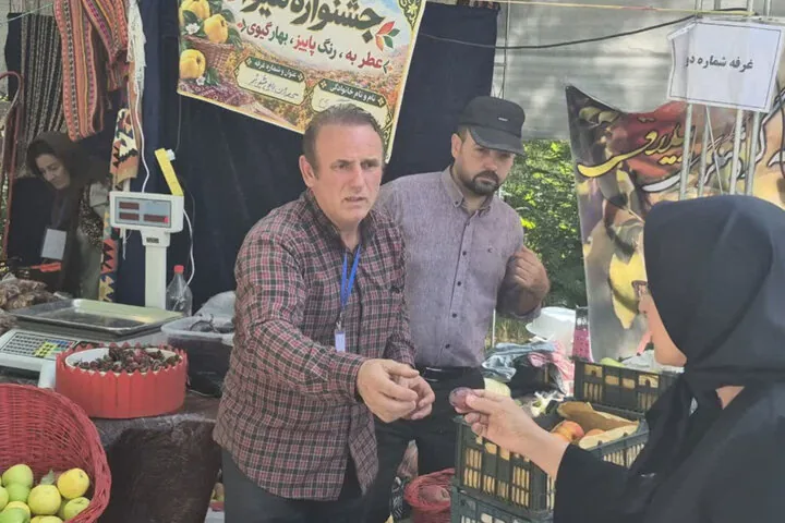 جشنواره «به» گیوی؛ پاییز برداشت، بهار شکوفایی
