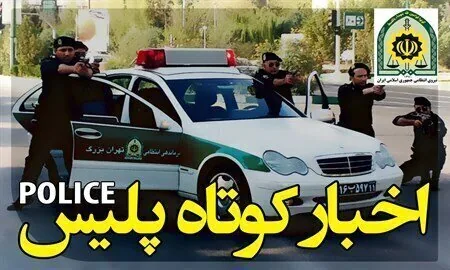 اقتدار پلیس فارس در پاکسازی مناطق از مجرمان و قاچاقچیان/ از کشف قتل تا استرداد اموال مسروقه