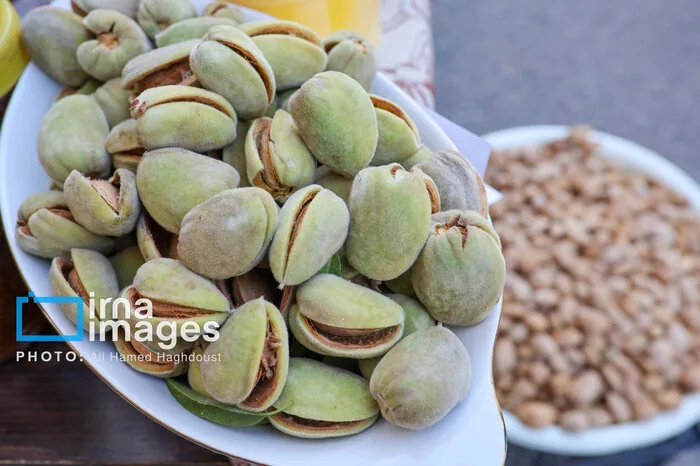 گره‌های صادرات بادام مامایی؛ از عوارض آب‌بری تا خام‌فروشی