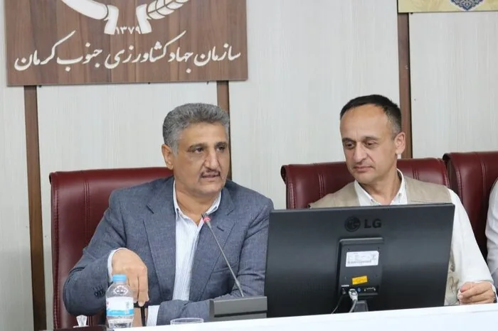 تاکید نماینده فائو بر تکمیل زنجیره ارزش خرما و مقابله با سرخرطومی حنایی در جنوب کرمان