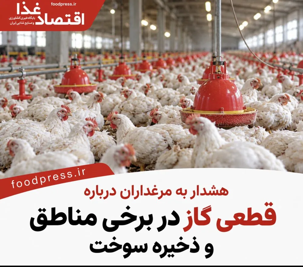هشدار به مرغداران درباره قطعی گاز در برخی مناطق و ذخیره سوخت
