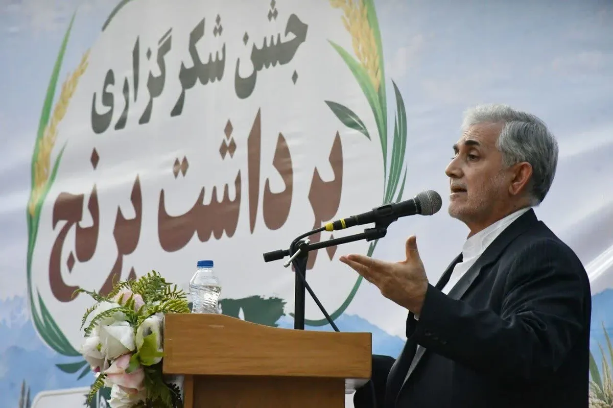 گردش مالی ۵ همتی برنج میانه؛ ضرورت سرمایهگذاری در صنایع تبدیلی