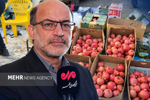 انار نمهیل؛ فرصتی برای رونق گردشگری خلخال