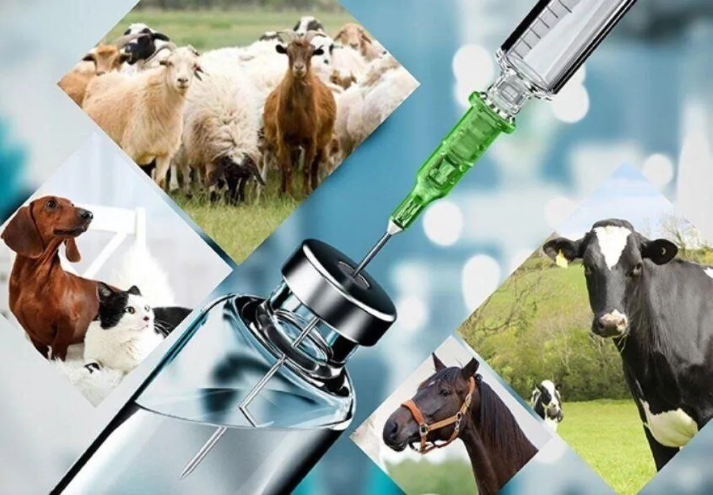 تداوم تولید و تامین پایدار اولویت صنعت دامپزشکی کشور است