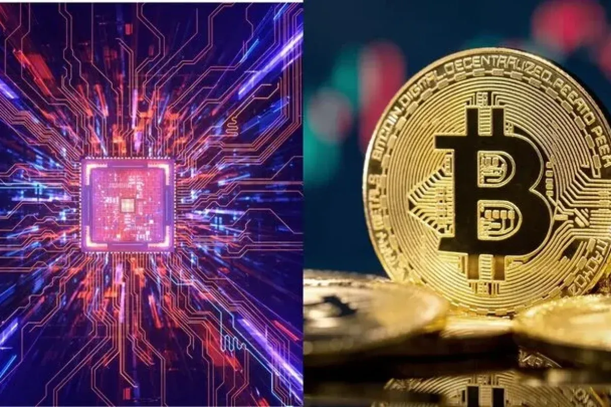 بیتکوینکش یا لایتکوین؛ کدام تا پایان ۲۰۲۶ بیشتر رشد میکند؟