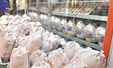 قیمت جدید گوشت مرغ امروز دوشنبه ۲۷ مهر ۱۴۰۵ / فیله مرغ ۶۶۶ هزار تومان شد + جدول