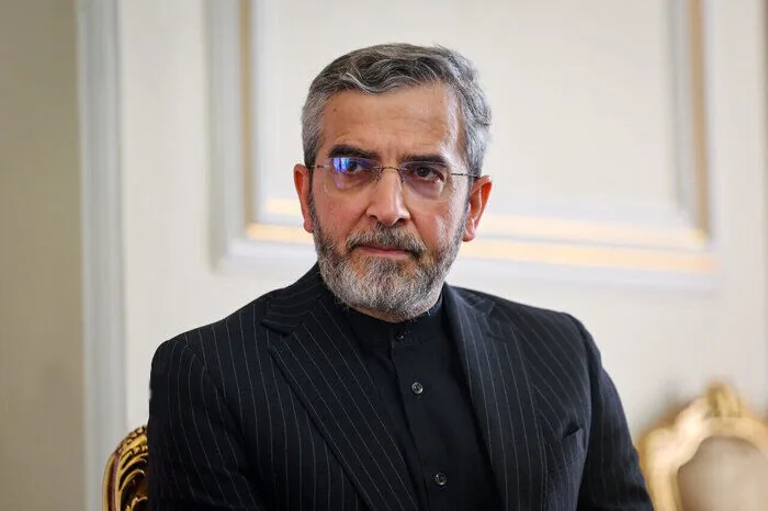 معاون شورای عالی امنیت ملی: اجازه نمیدهیم هویت ملی خدشهدار شود