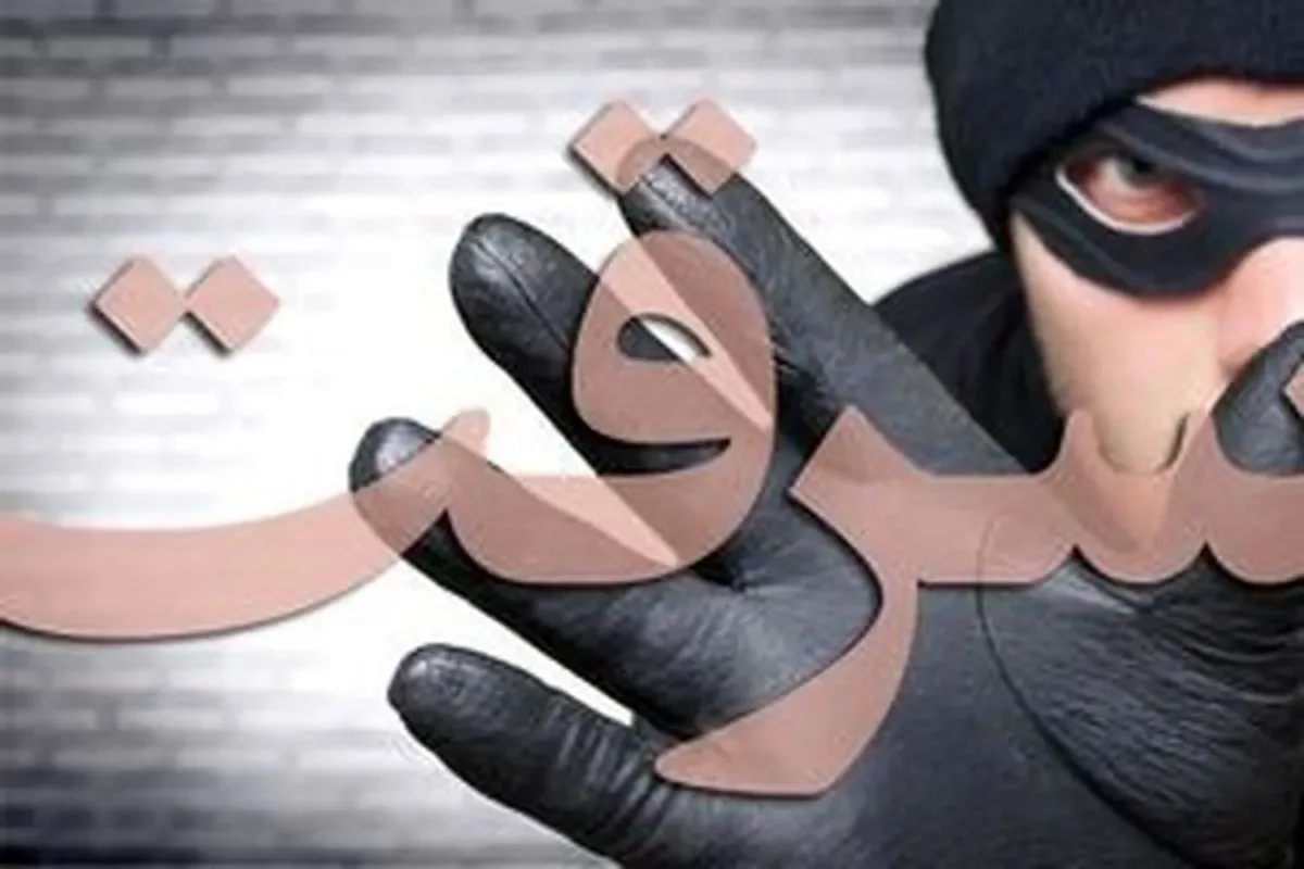سرقت مسلحانه برای انتقام از پسر صاحبخانه!