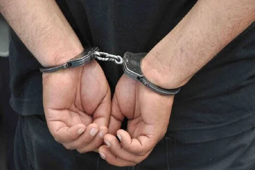 دزد آلبوم سکه و اسکناسهای قدیمی دستگیر شد