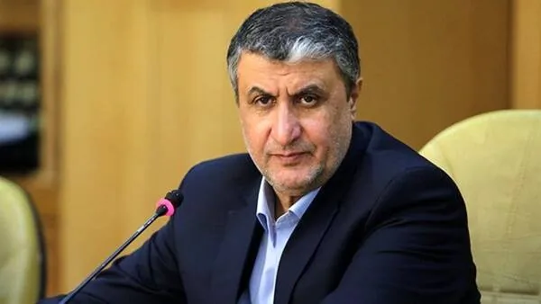 رئیس سازمان انرژی اتمی: از حق غنیسازی کوتاه نمیآییم