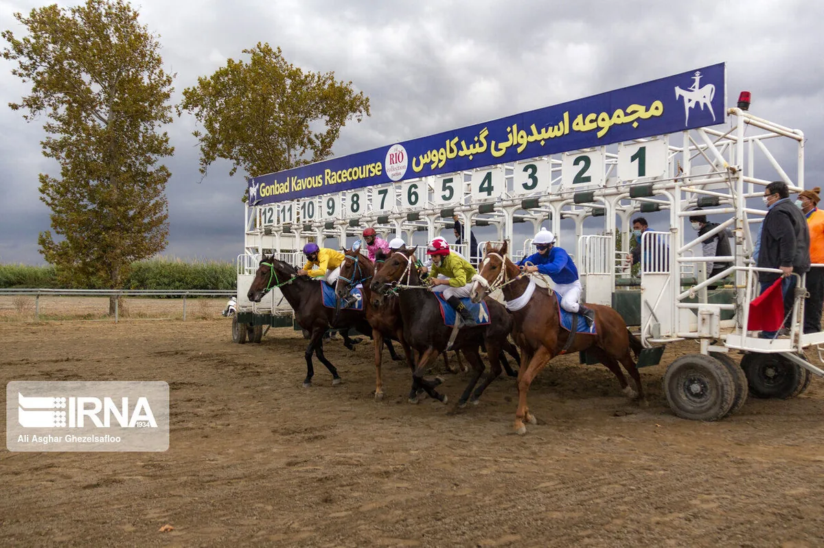 تاخت ۷۰ اسب در اولین روز هفته چهارم کورس پاییزه آققلا