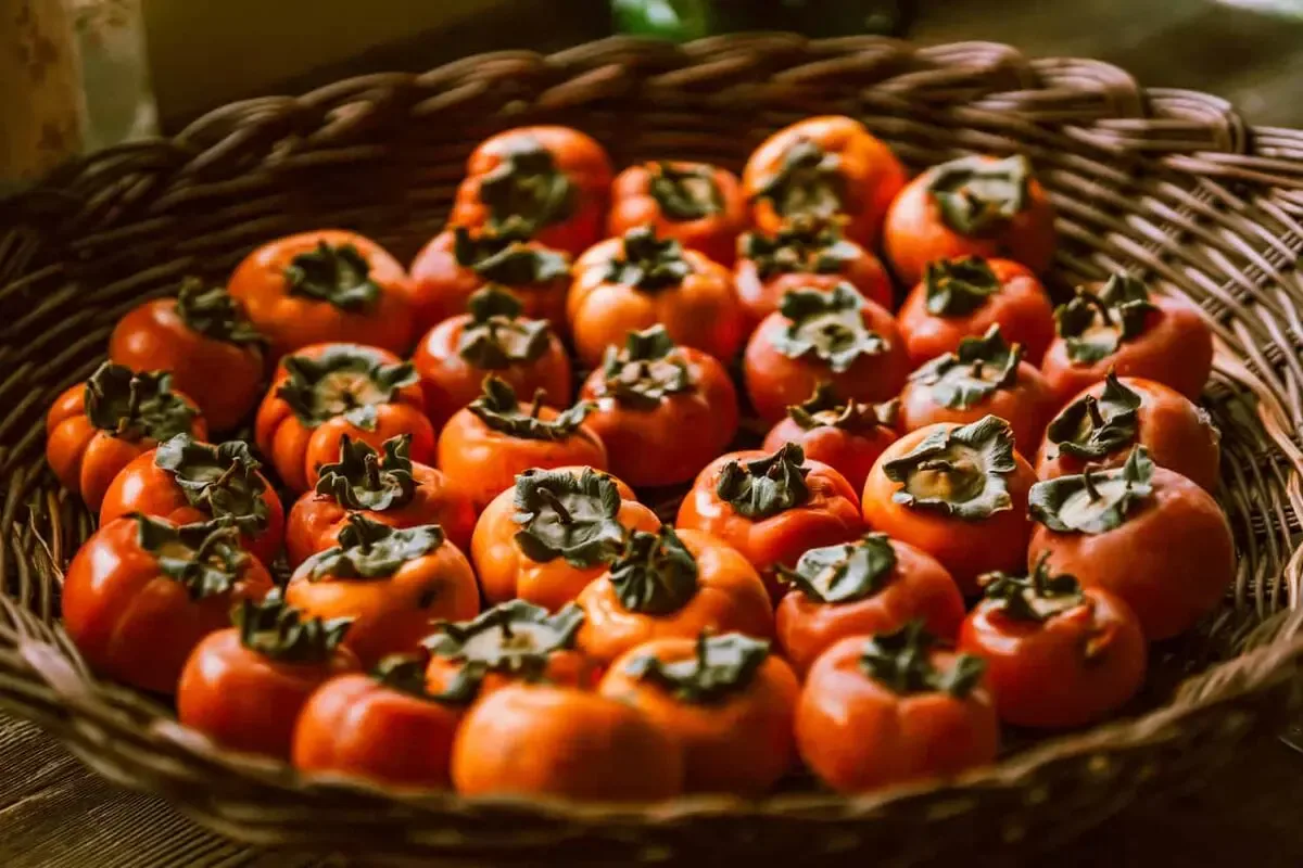 ترفند ساده نگهداری خرمالو؛ چطور این میوه پاییزی را تازه نگه داریم؟