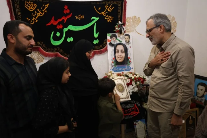 مدیرعامل ایرنا: لامرد آزمایشگاه زنده سلاح‌های ممنوعه بین‌المللی است