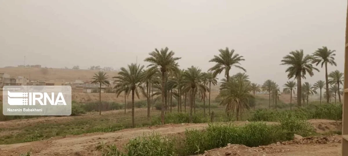 گرد و غبار دید افقی را در قصرشیرین کاهش داد