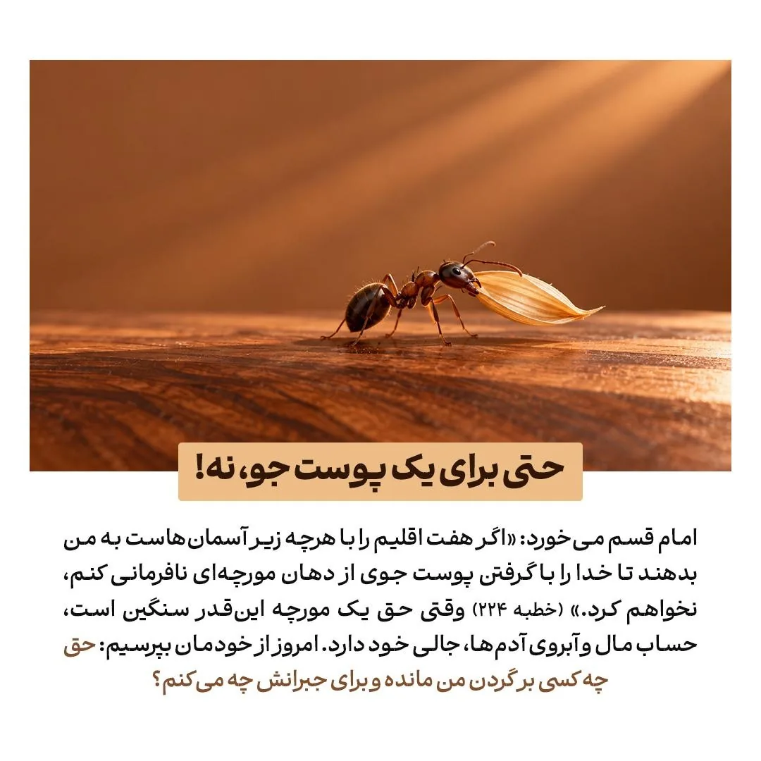 حق‌الناس در سیره امیرالمؤمنین علیه‌السلام