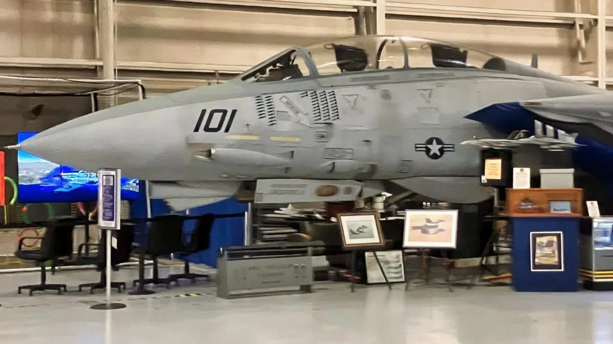 جنگنده‌های F-14 تامکت