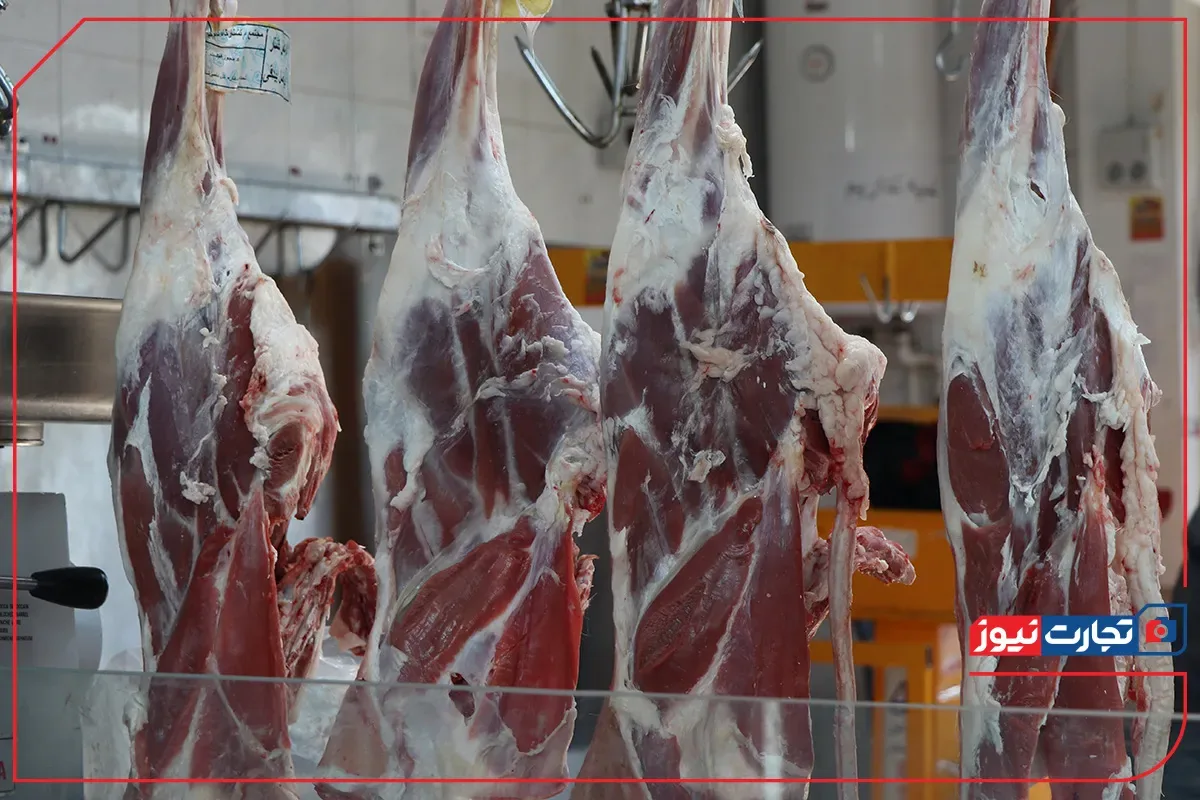 قیمت گوشت قرمز امروز چهارشنبه ۲۲ مهر ۱۴۰۵ + جدول