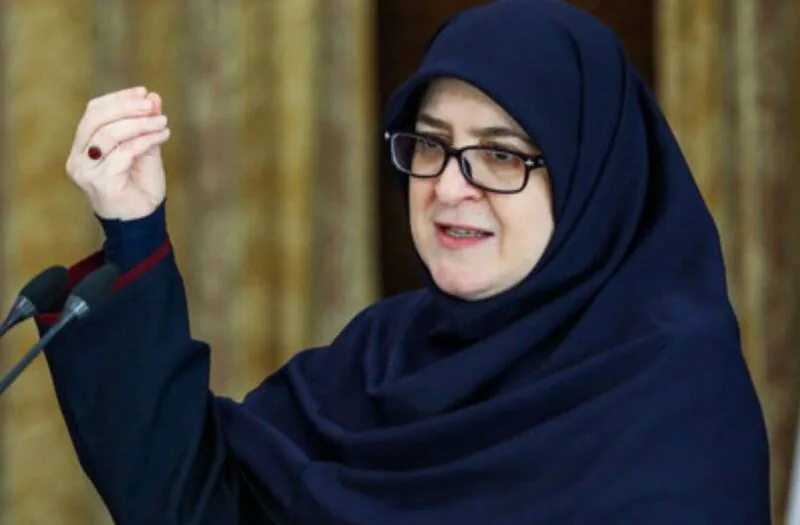 فیلم/ آخرین وضعیت خلبانان اسیر ایرانی در قطر از زبان مهاجرانی