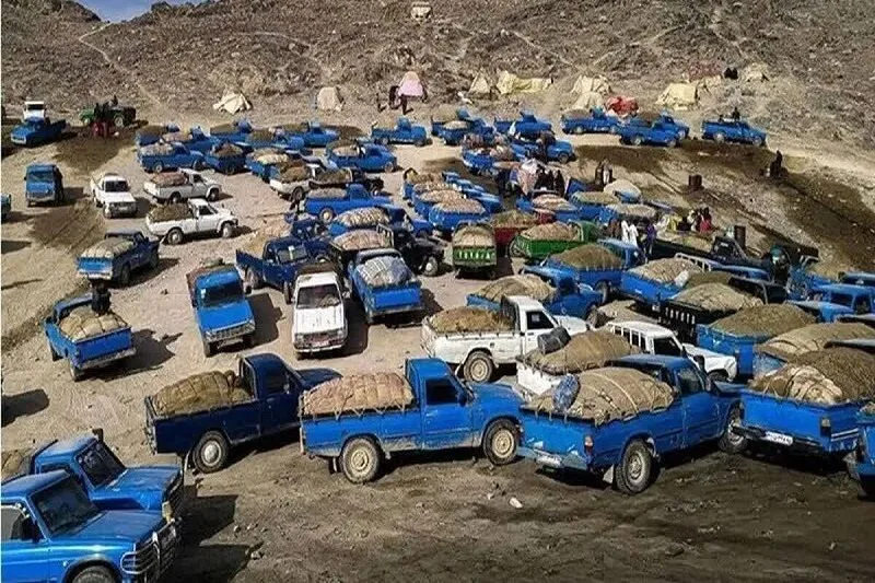 سرشبکه اصلی قاچاق سازمان یافته گازوییل در هرمزگان دستگیر شد