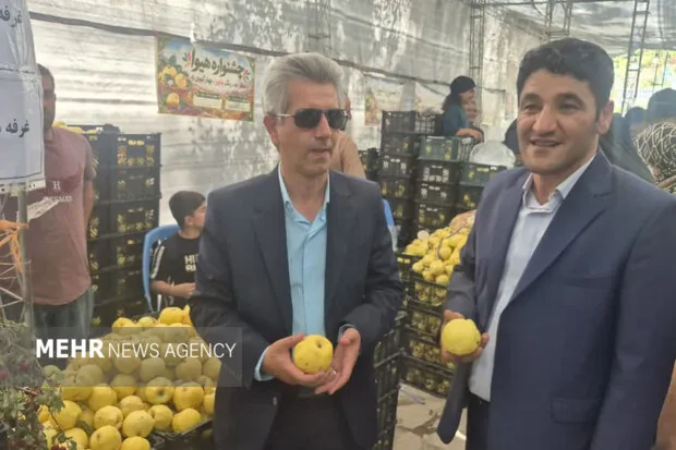 جشنواره «به» گیوی؛ پاییز برداشت، بهار شکوفایی