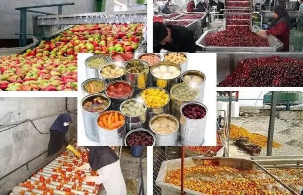صنایع تبدیلی کشاورزی 