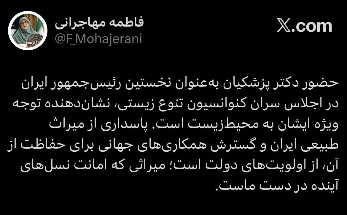 سخنگوی دولت: پاسداری از میراث طبیعی ایران از اولویت‌های دولت است