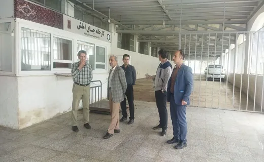 چین پاییزه برگ سبز چای رو به پایان است