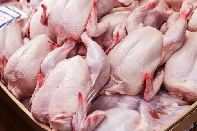 رونمایی از قیمت جدید مرغ / یارانه حذفشده به کجا رفت؟